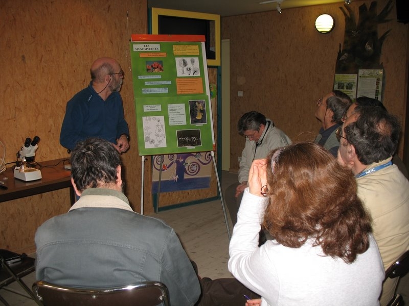 2008 03  Atelier myxomycètes 03